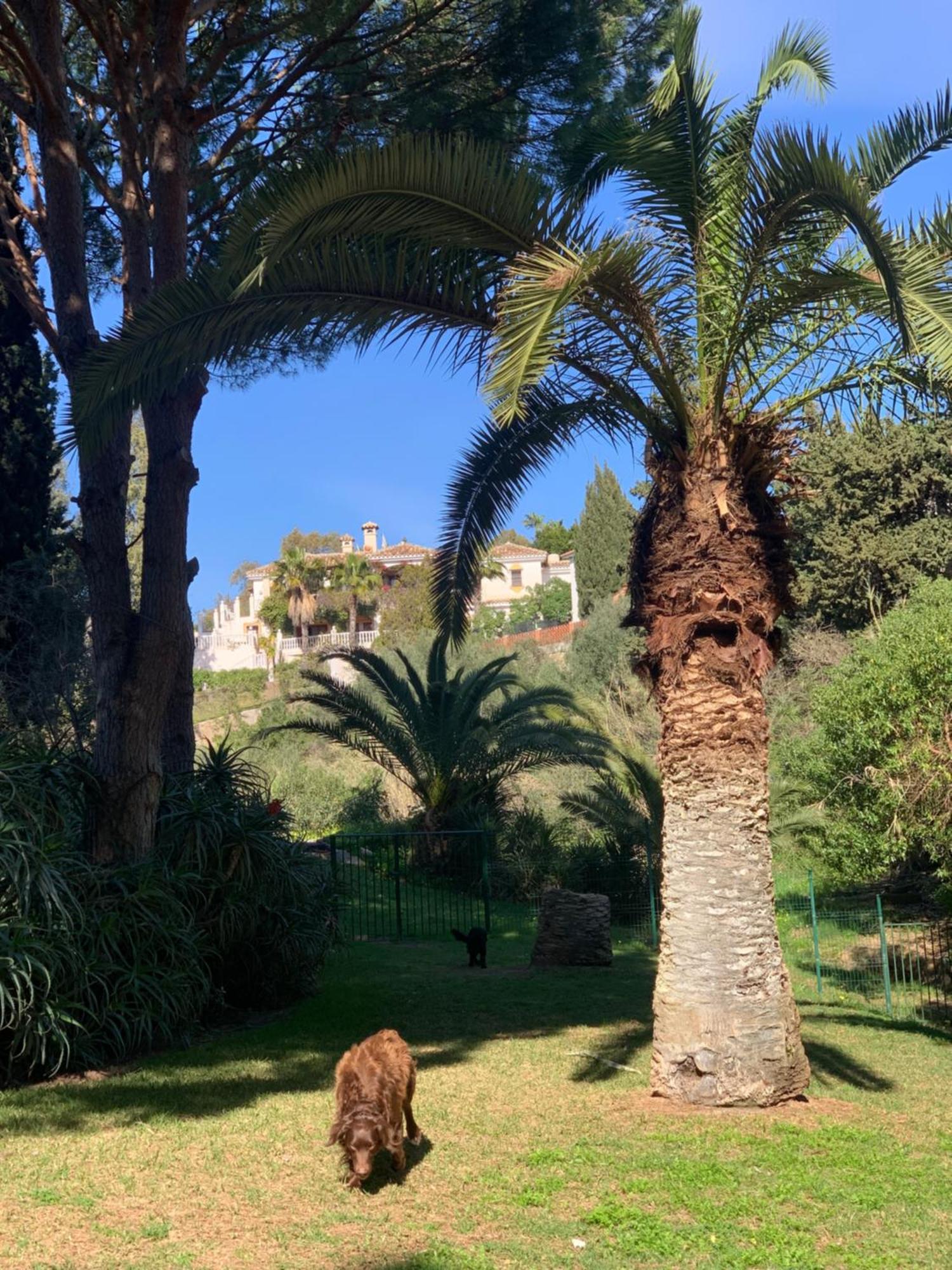 Casa Hermosa Mijas Exteriér fotografie
